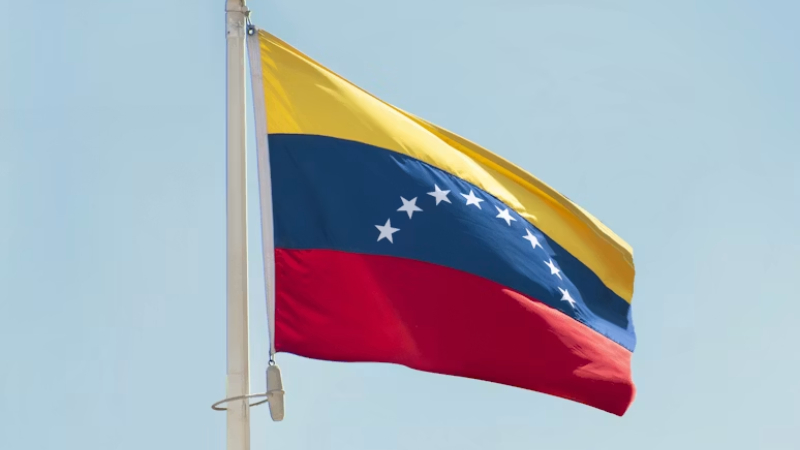 Símbolos patrios de Venezuela: cuáles son y qué significan