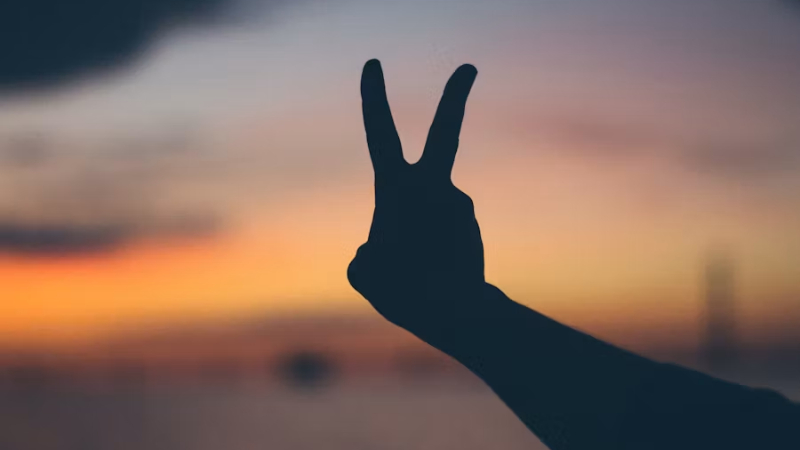 5 instituciones que coadyuvan en el cuidado de la paz social en México